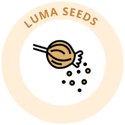 Lumaseeds.com Reviews Scam